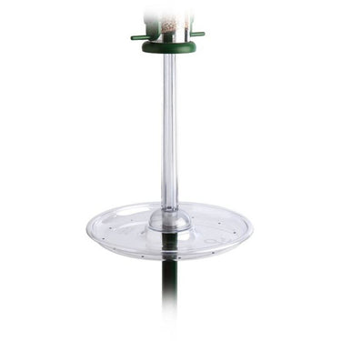 Jacobi Jayne - Pigeon Spacer